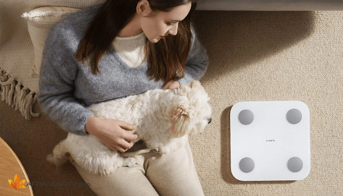 2 1 2025 02 23T094458.360